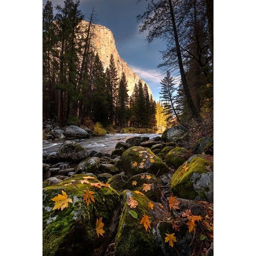 Autumn along Merced River in Yosemite National Park-California